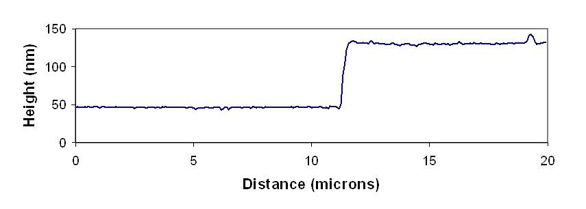 afm height measure